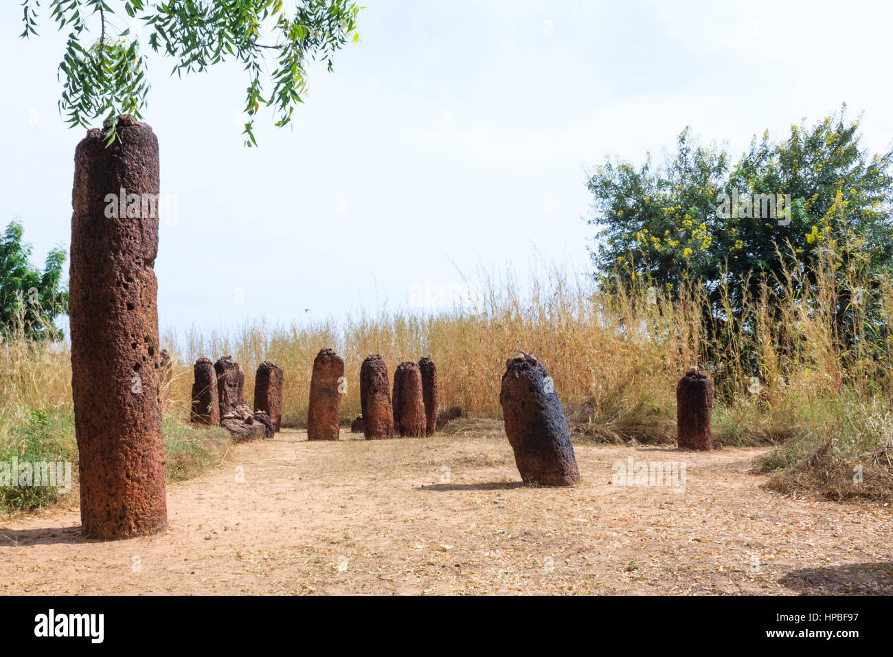 Historische Wassu Steinkreis Megalithen in der Nähe des Flusses Gambia Stockfoto