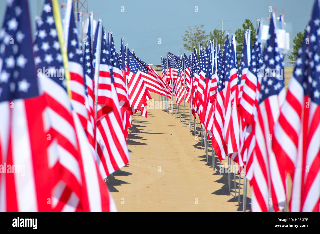 Amerikanische Flaggen am Veterans Day und Gedenktag Stockfoto