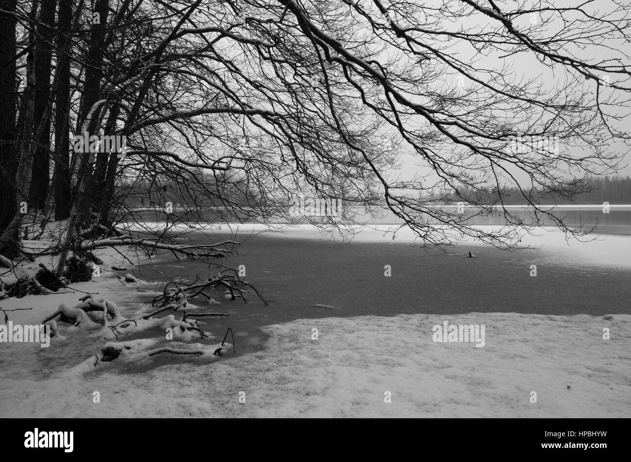 Schwarz und weiß Winterlandschaft und Natur. Scandinavia-Schweden-Europa. Eissee Stockfoto