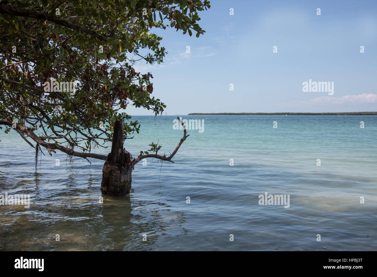 Ruhigen Rastplatz Ansicht Overseas Highway in den Florida Keys. Stockfoto
