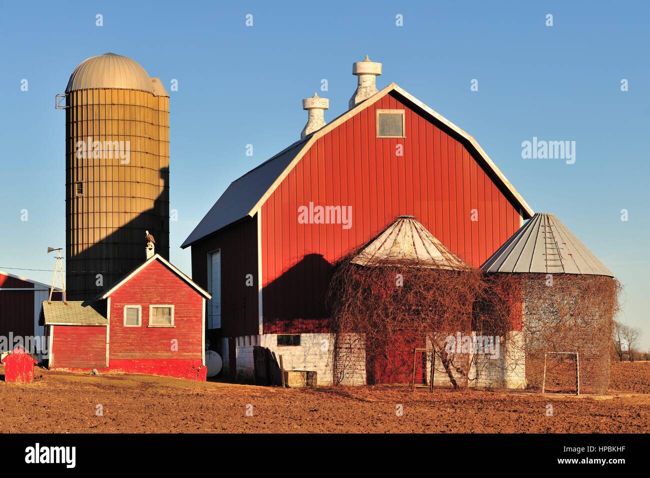 Auf einem hellen Winter Tag, eine rote Scheune, Silos und leeren Speicher Kinderbetten erwarten Frühling vor einem Bauernhof in der Gemeinschaft von South Elgin, Illinois, USA. Stockfoto