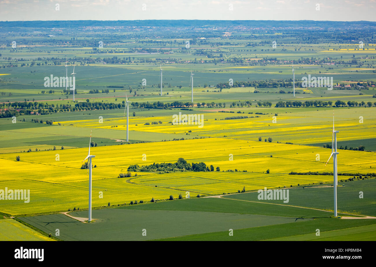 Landwirtschaft, Felder östlich von Danzig, Feld Muster, Kącik, Baltic coast, Pomorskie, Polen Stockfoto