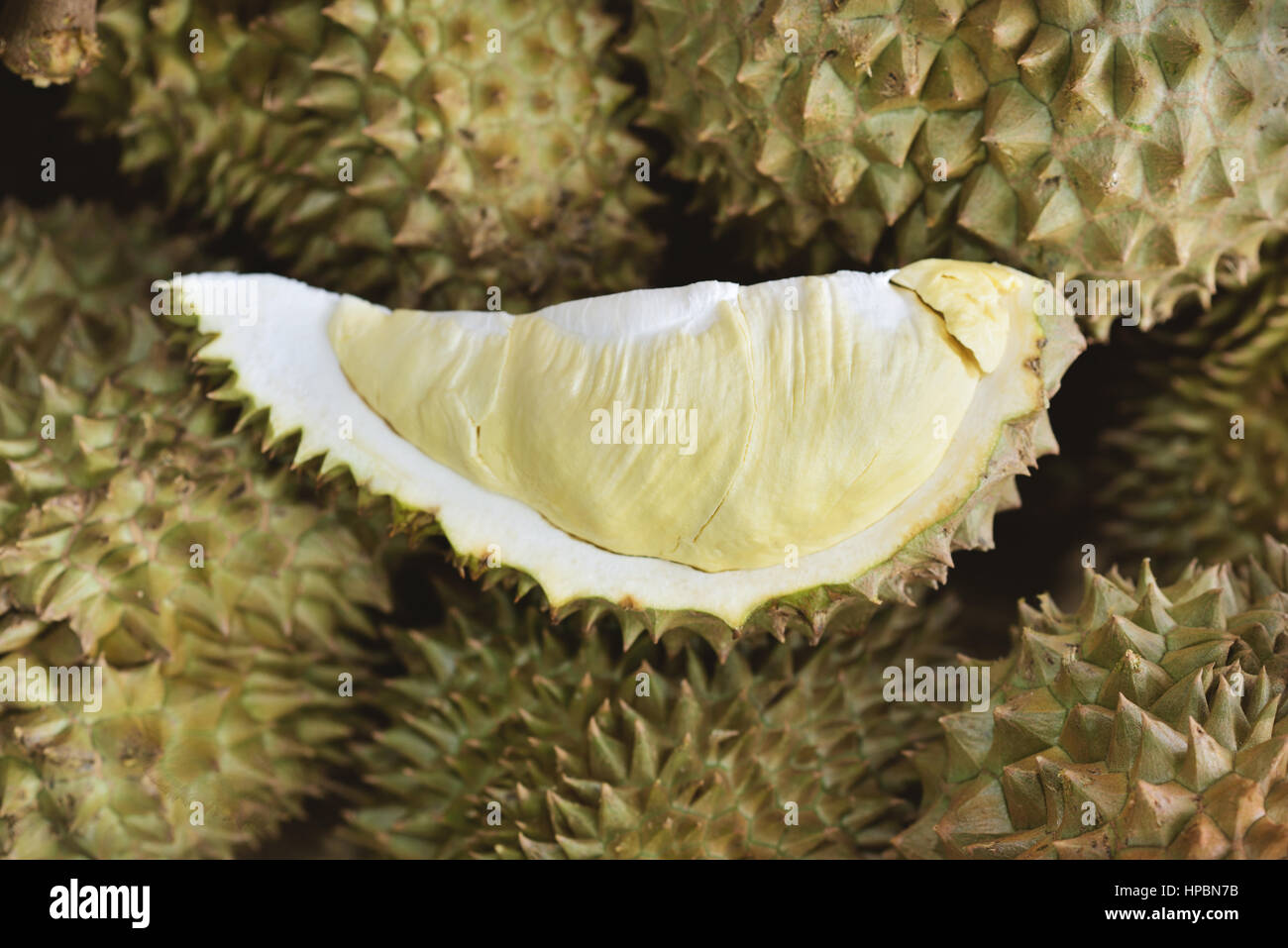 geschälte gelbe Mon Thong Durian auf Haufen von Durian-Früchte Stockfoto