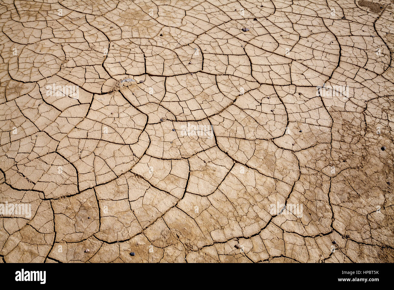 Erde Risse, Death Valley, Kalifornien, USA Stockfoto