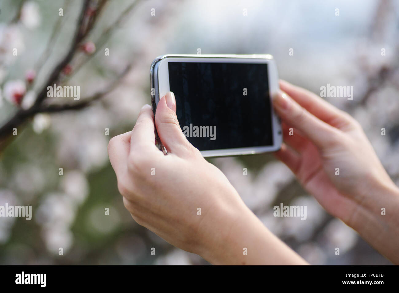 Frau eine Smartphone in den Händen hält und schießt Frühlingsgarten Stockfoto