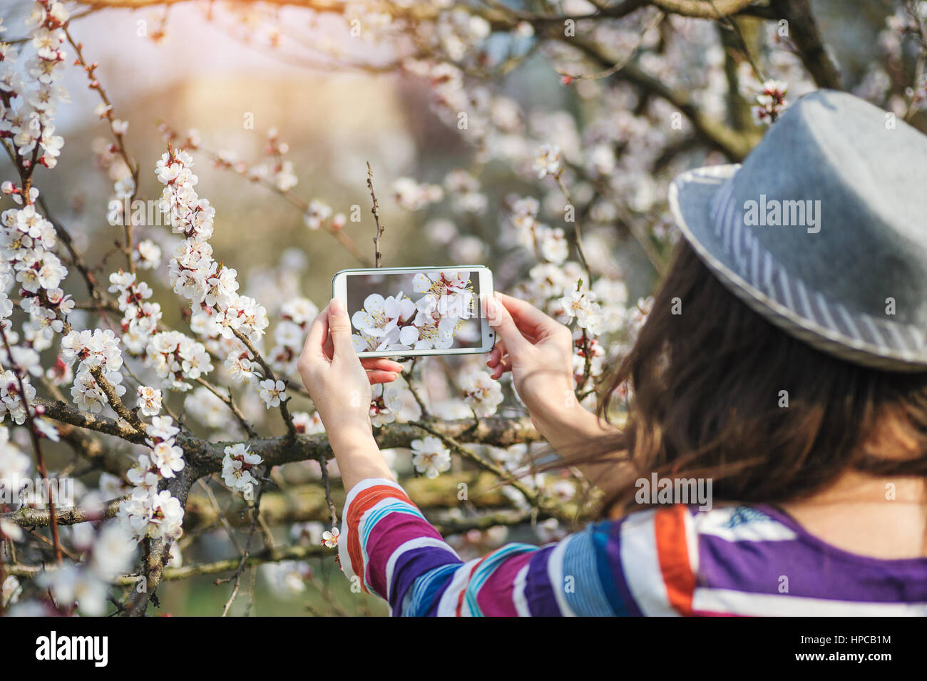 junge Frau mit Hut nimmt auf Smartphone Frühlingsblumen auf Bäumen Stockfoto