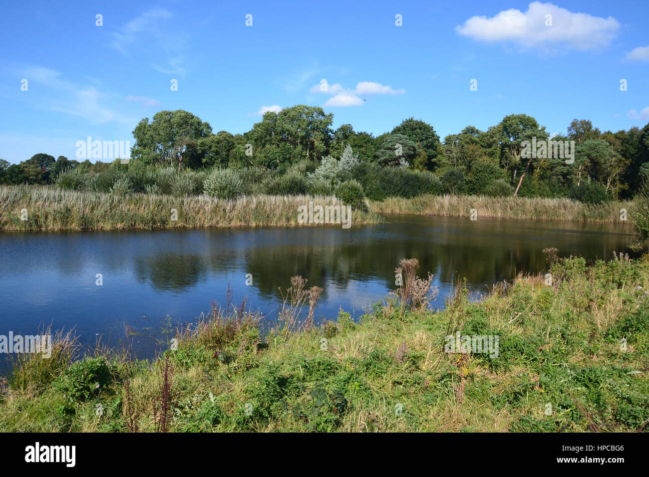 Wasserseite Blick auf Westhay Moor National Nature Reserve Stockfoto
