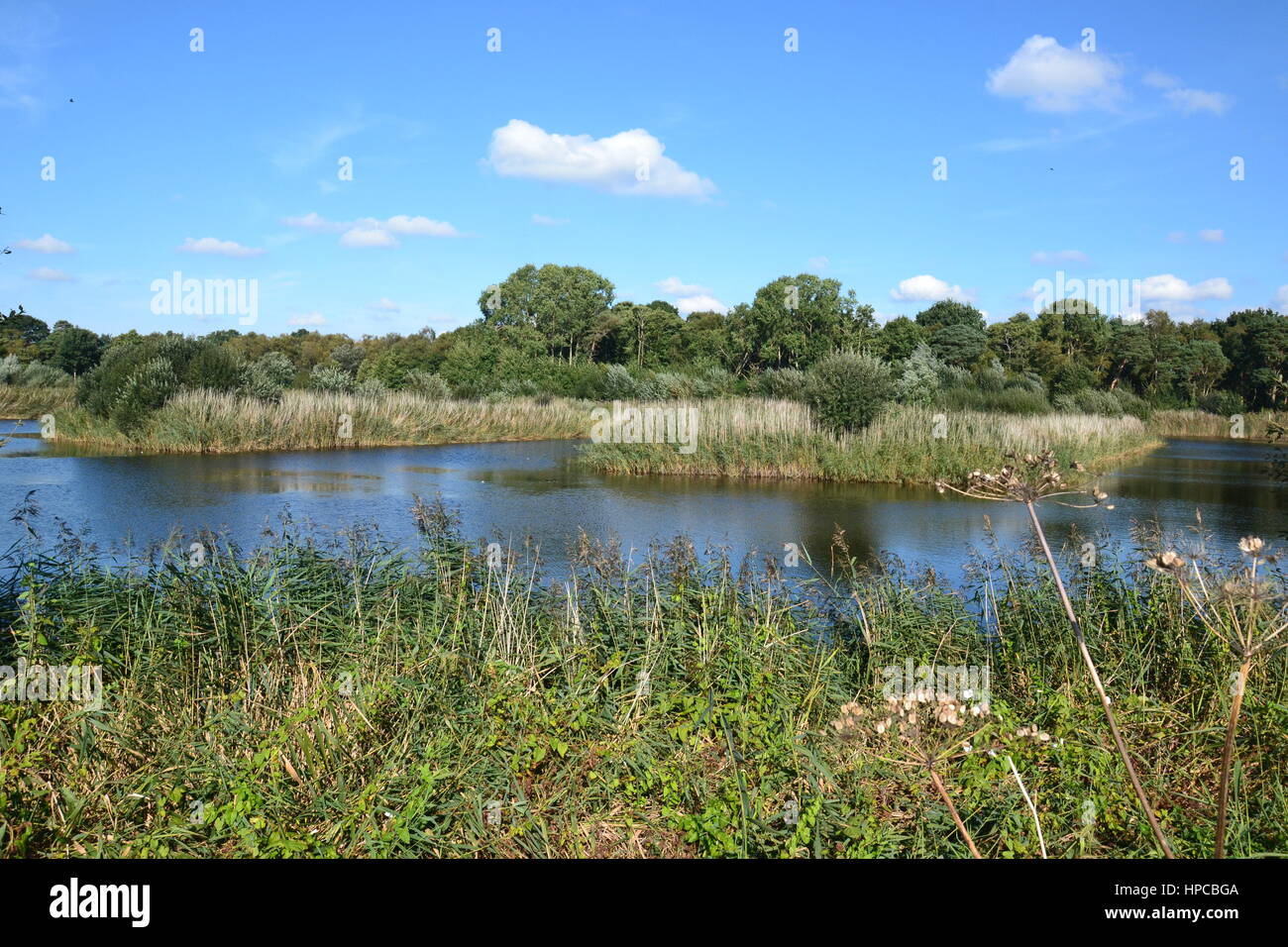 Westhay Moor National Nature Reserve Stockfoto