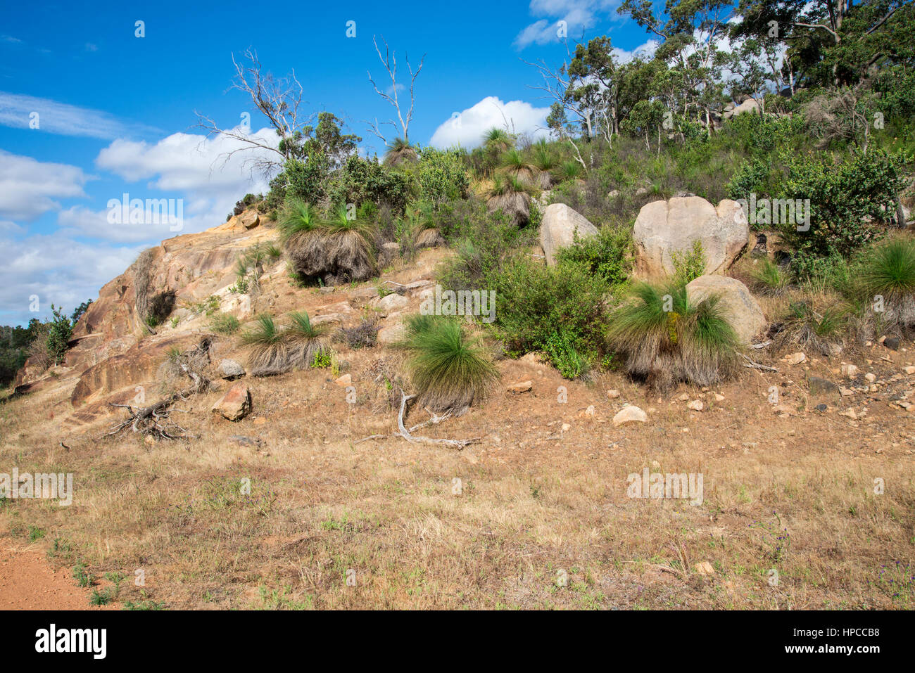 Malerischen Felsen in John Forrest Nationalpark in der Nähe von Perth Hills, West-Australien Stockfoto