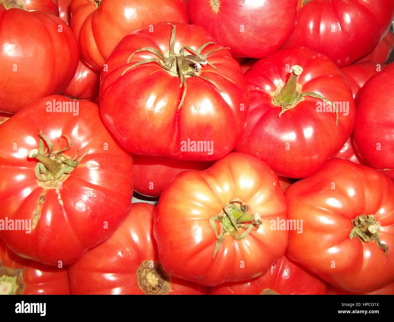 Rosenstrauss rote Tomaten Stockfoto