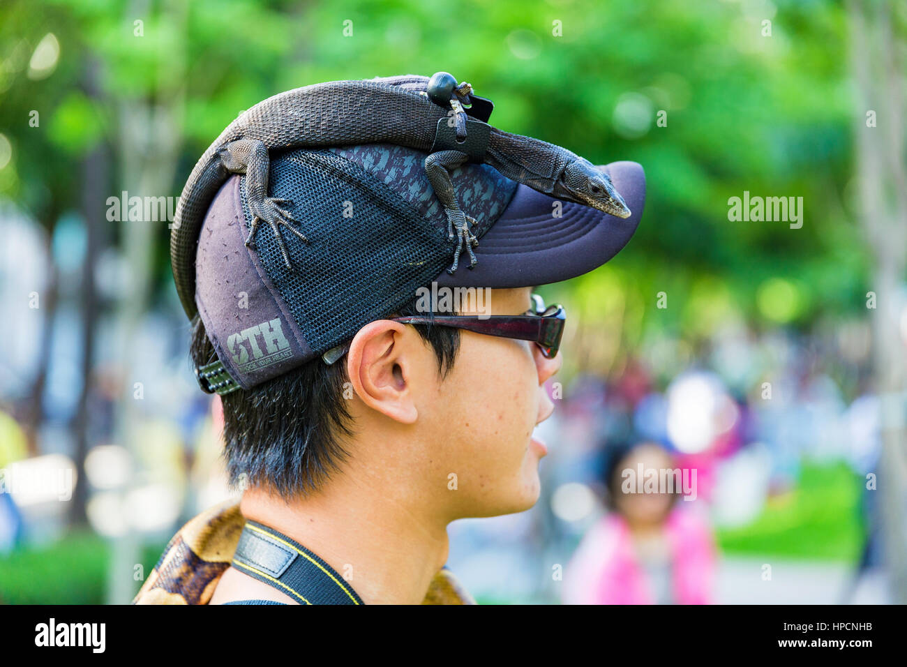 TAICHUNG, TAIWAN - 23.August: Mann in einem Park mit seinem Haustier Echse auf dem Kopf. Lokale Leute bringen manchmal ihre Haustiere zu diesem Park am 23. August 2014, Stockfoto