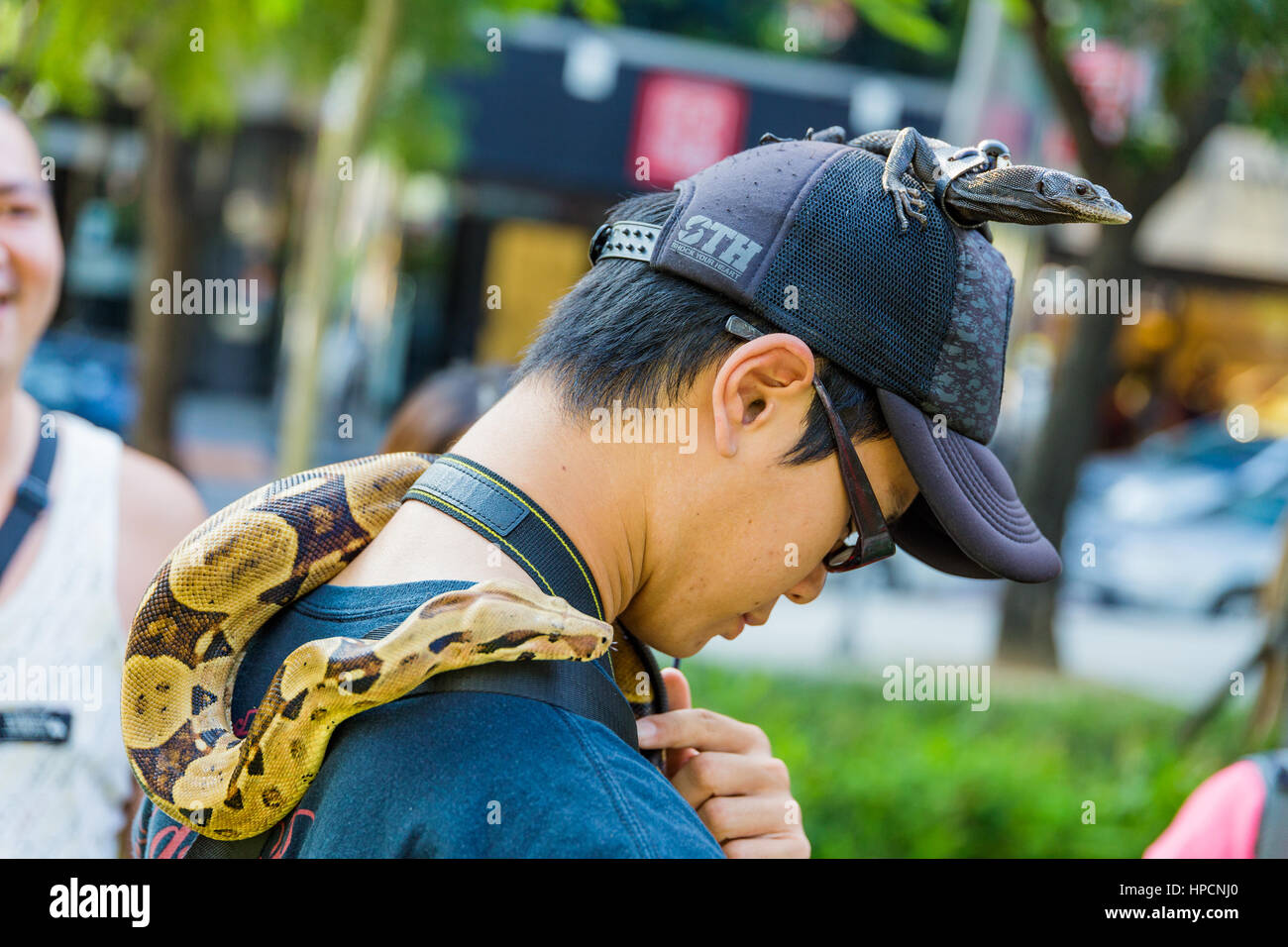 TAICHUNG, TAIWAN - 23.August: Mann in einem Park mit seinem Haustier Echse auf dem Kopf und eine Schlange um den Hals mit der lokalen Bevölkerung, die auf der Suche am 23. August 2014, Stockfoto