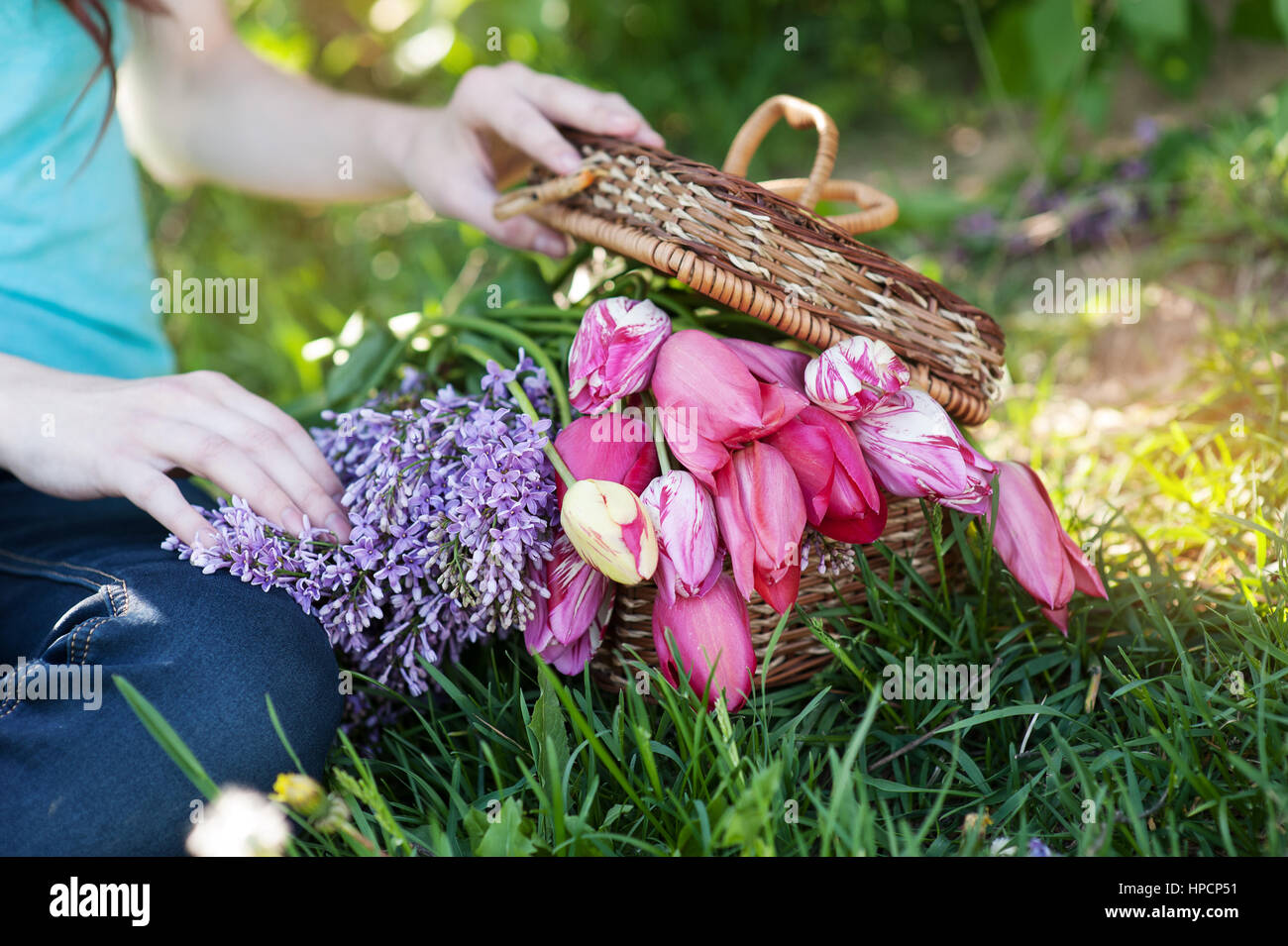Strauß Tulpen und Flieder im Stroh Korb. Stockfoto