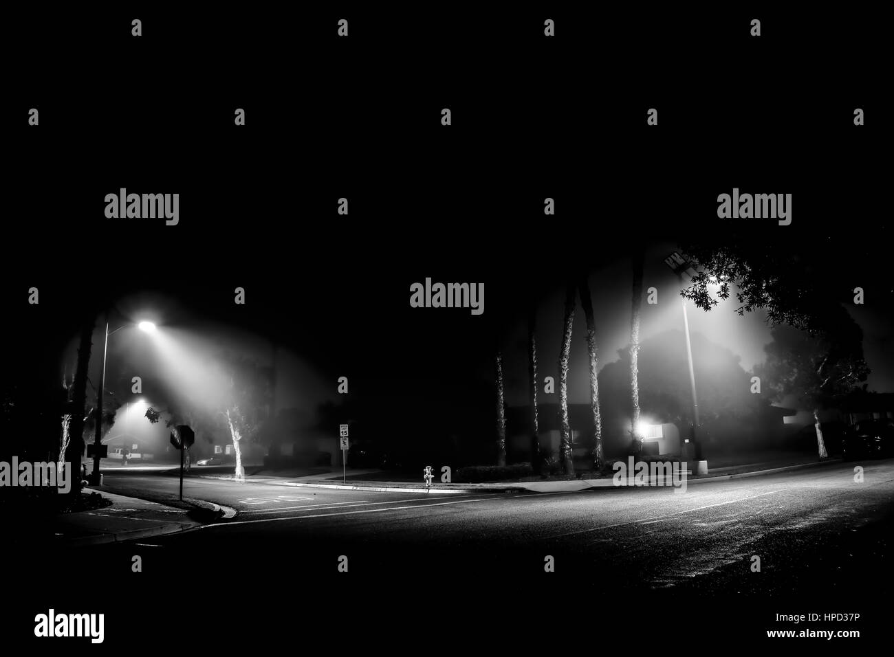 Nebel auf einer Straße in Südkalifornien. Stockfoto