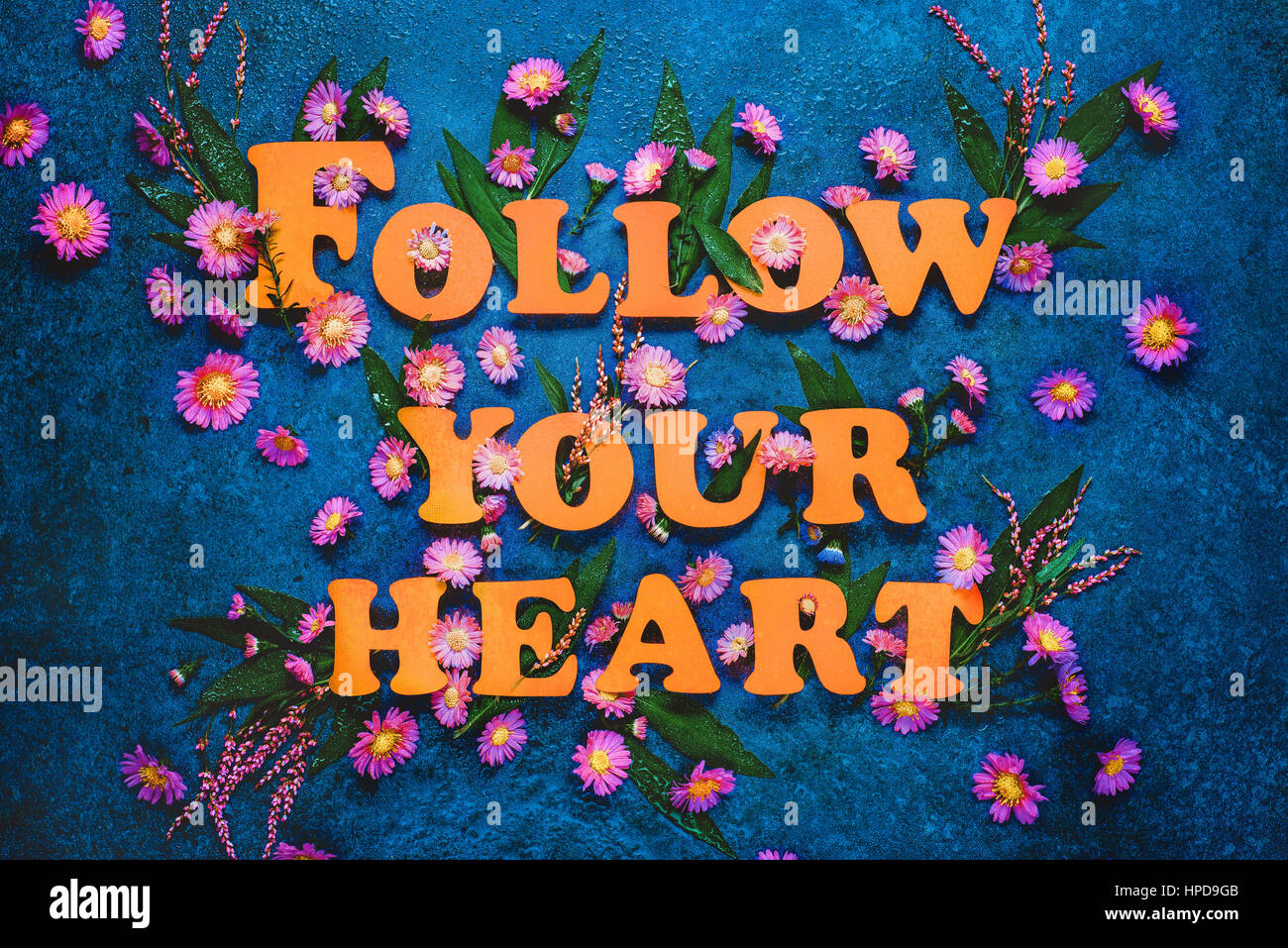 Folgen Sie Your Heart Schriftzug mit weißen und lila Blüten und Blätter auf einem dunklen Hintergrund Marmor. Buchstaben bestehen aus pastellfarbenen Papier. Stockfoto