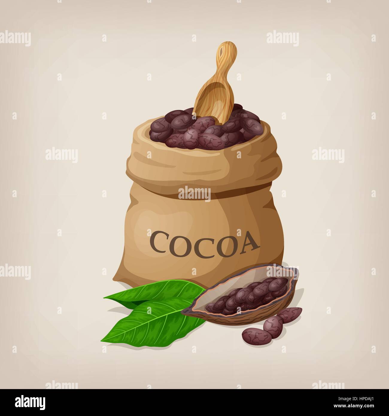 Kakao-Bohnen in einem Beutel. Vektor-illustration Stock Vektor