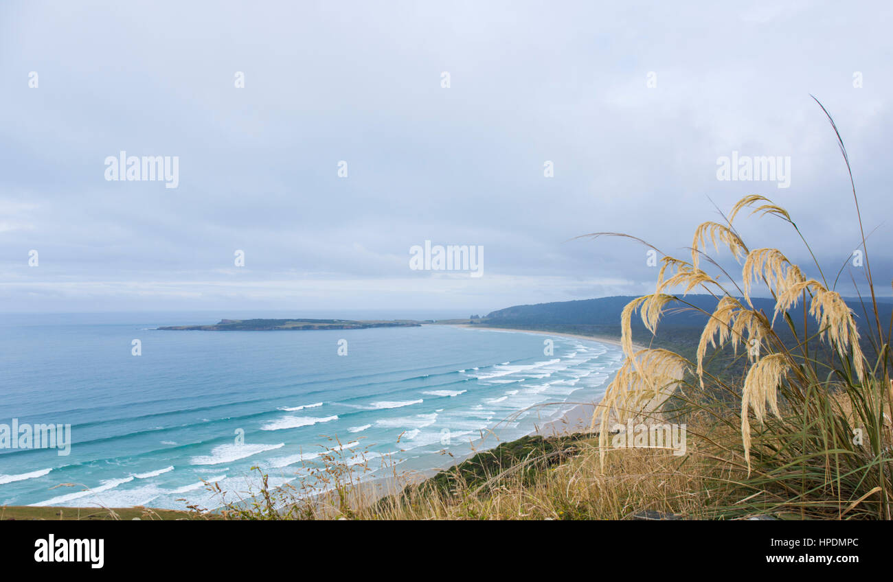 Papatowai, Catlins Conservation Area, Otago, Neuseeland. Blick über die Bucht von tautuku Florenz Hill Lookout. Stockfoto