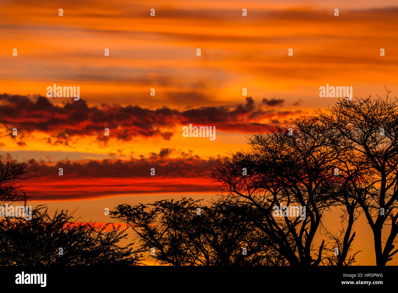 Romantischen afrikanischen Sonnenuntergang Stockfoto