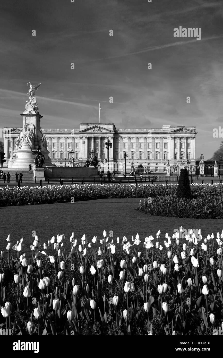 Sommer-Blick auf die Fassade des Buckingham Palace, St. James, London, England, UK Stockfoto