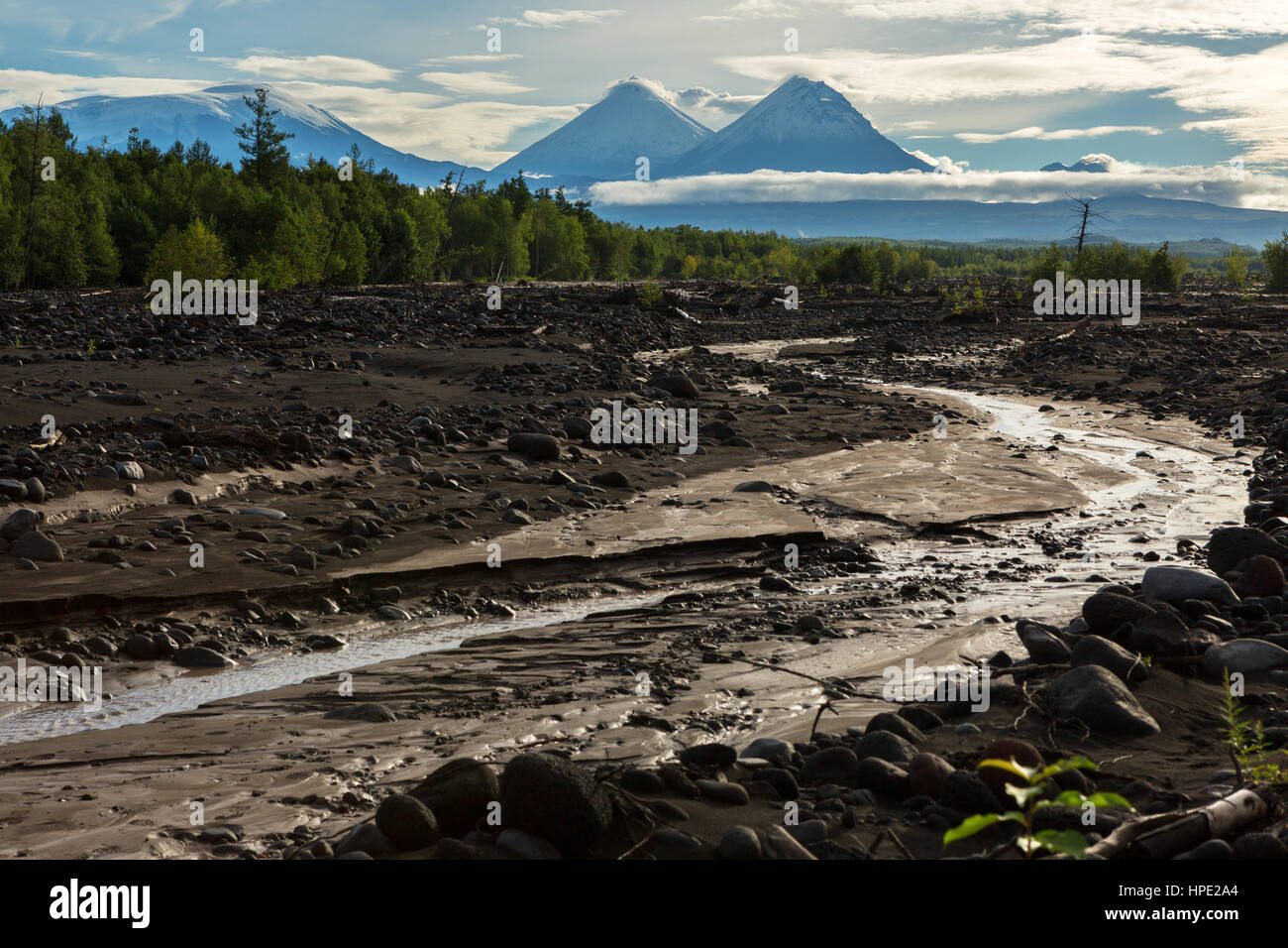 Sicht auf den Vulkan: Klyuchevskaya Sopka, Besymjanny, Kamen vom Fluss Studenaya in der Morgendämmerung. Kamtschatka-Halbinsel. Stockfoto