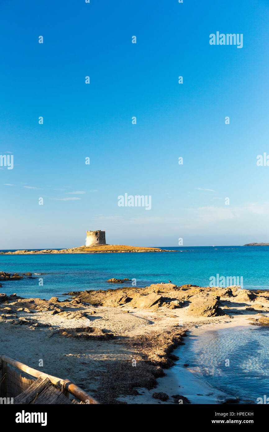 Die schöne Seenlandschaft von Pelosa Strand Stintino, Sassari, Sardinien, Italien Stockfoto