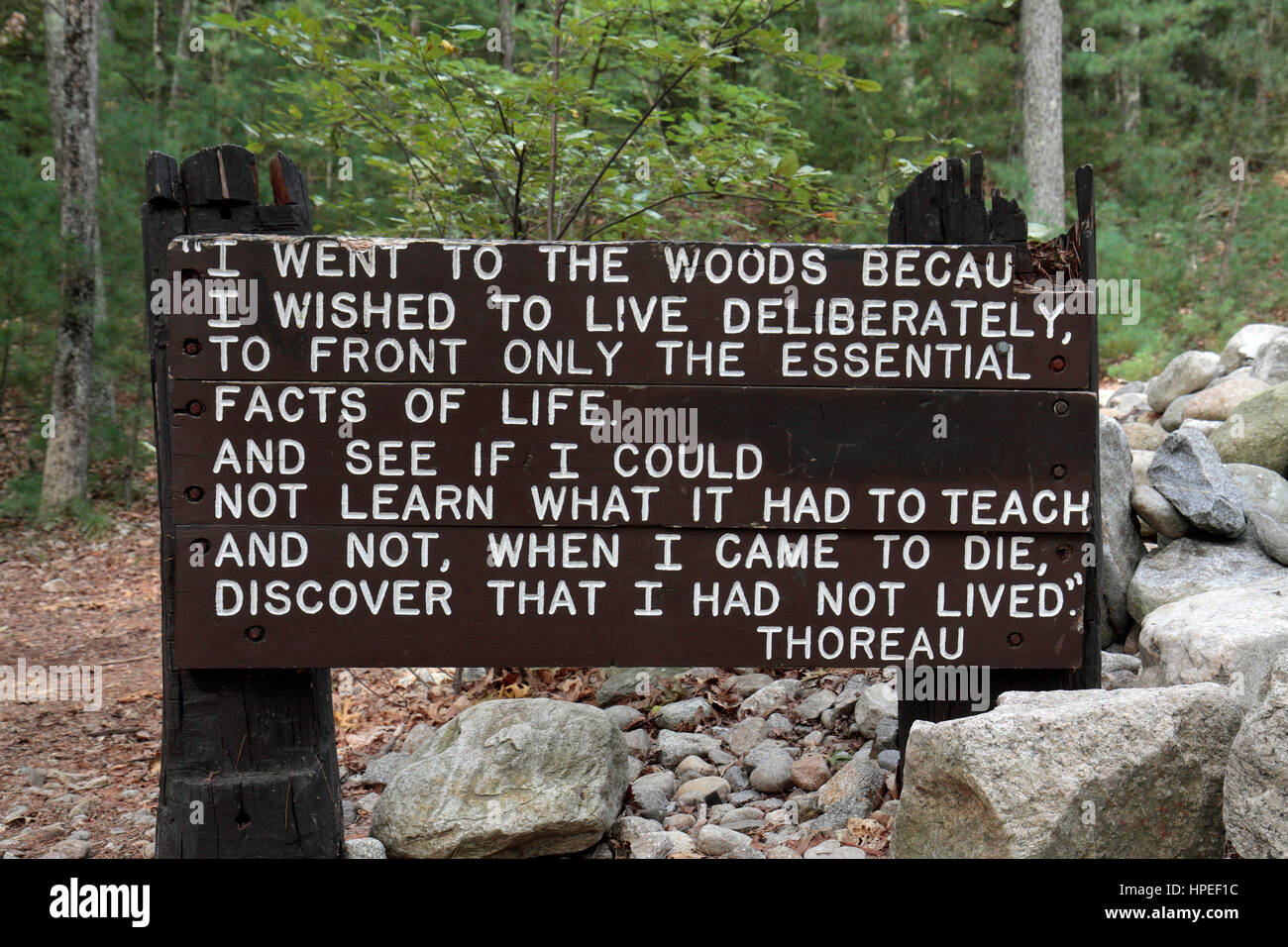 Thoreau berühmtes Zitat auf ein Denkmal in der Nähe seiner kleinen Hütte in Walden Woods, Walden Pond, Concord, MA, USA. Stockfoto