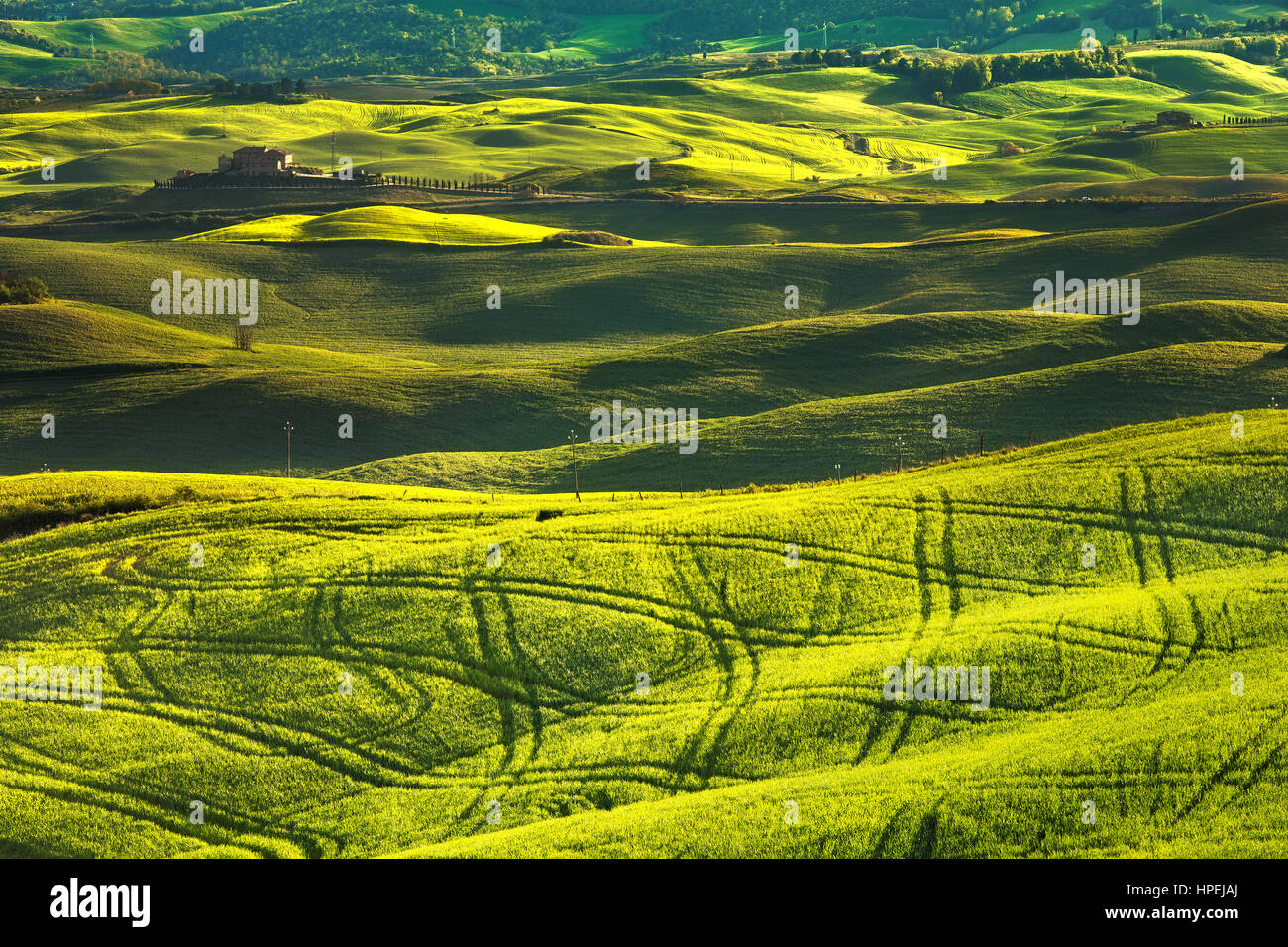 Tuscany Frühling, sanften Hügeln am Sonnenuntergang. Volterra Kulturlandschaft. Grüne Wiesen und Ackerland. Italien, Europa Stockfoto