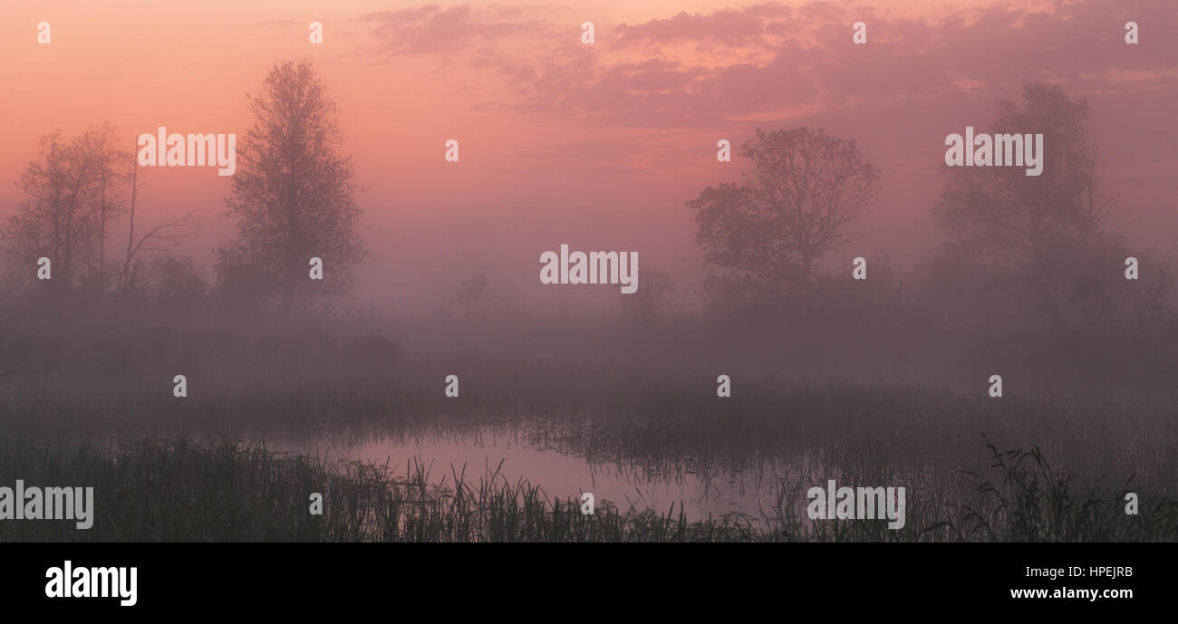 Rosa Sonnenuntergang unter See mit Nebel Nebel Stockfoto