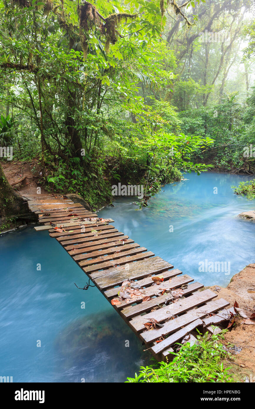 Rio Celeste und kleine Holzbrücke Tenorio National park Costa Rica Stockfoto