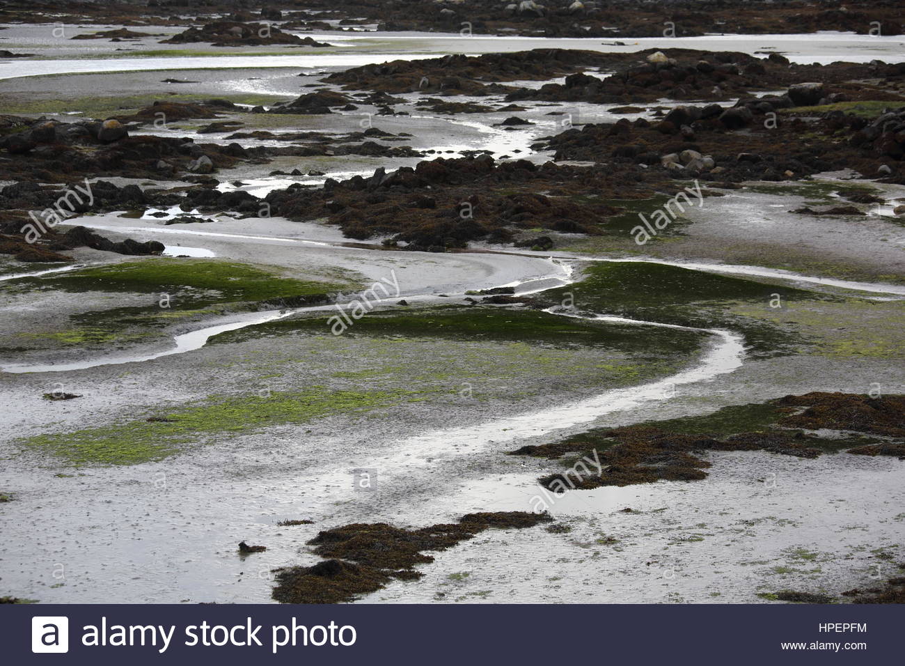 Irische Landschaft aus Stein und Wasser an der Küste in Connemara, Irland Stockfoto
