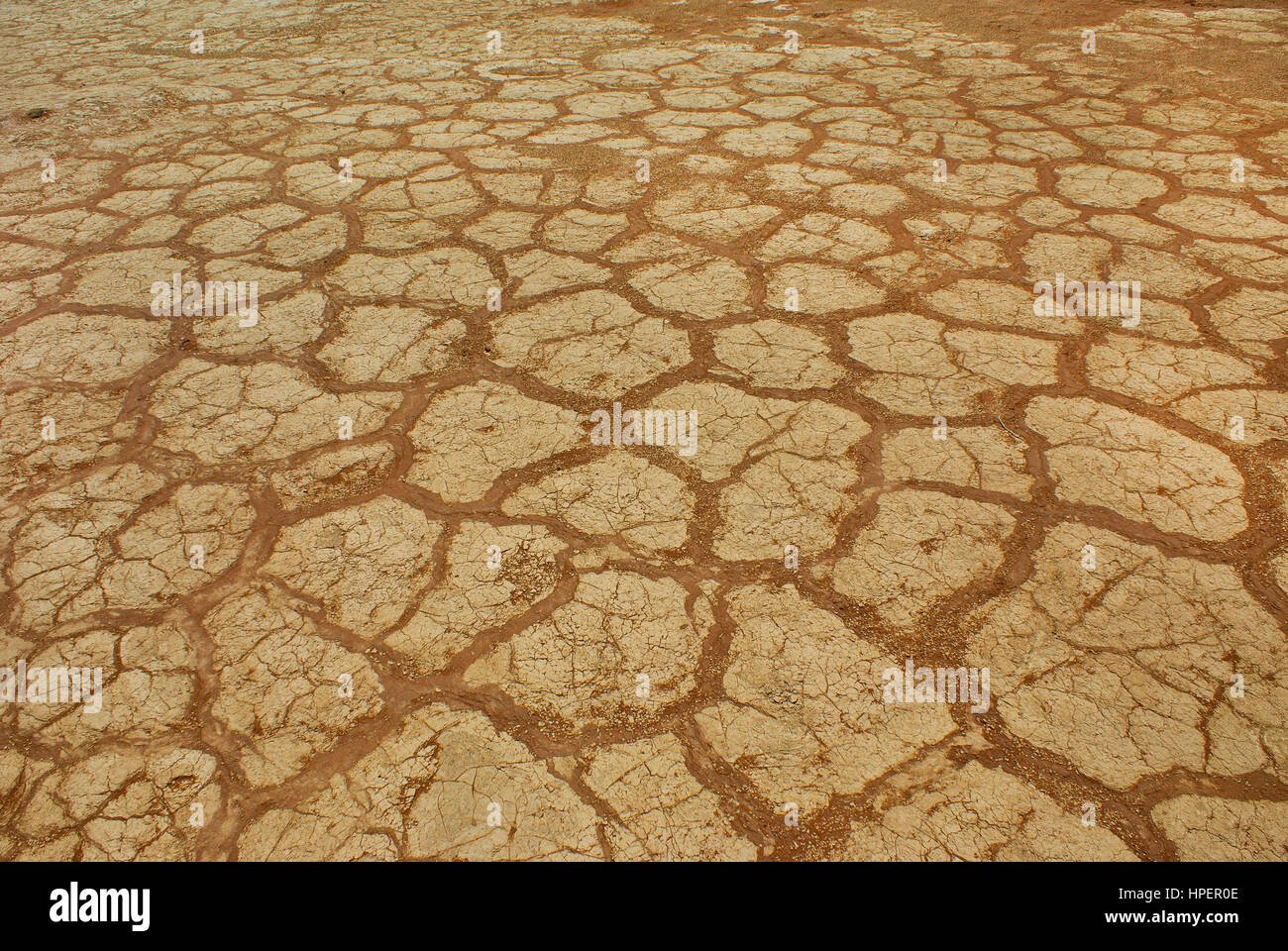 Trockene sunbaked Boden in der Namib-Wüste Stockfoto