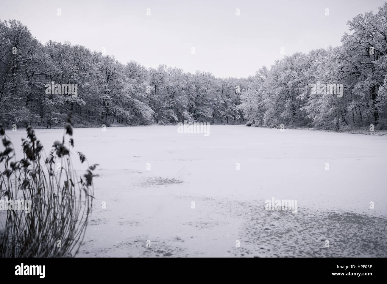 Winterlandschaft mit icebound Teich, Deutschland, Wolfsburg Stockfoto