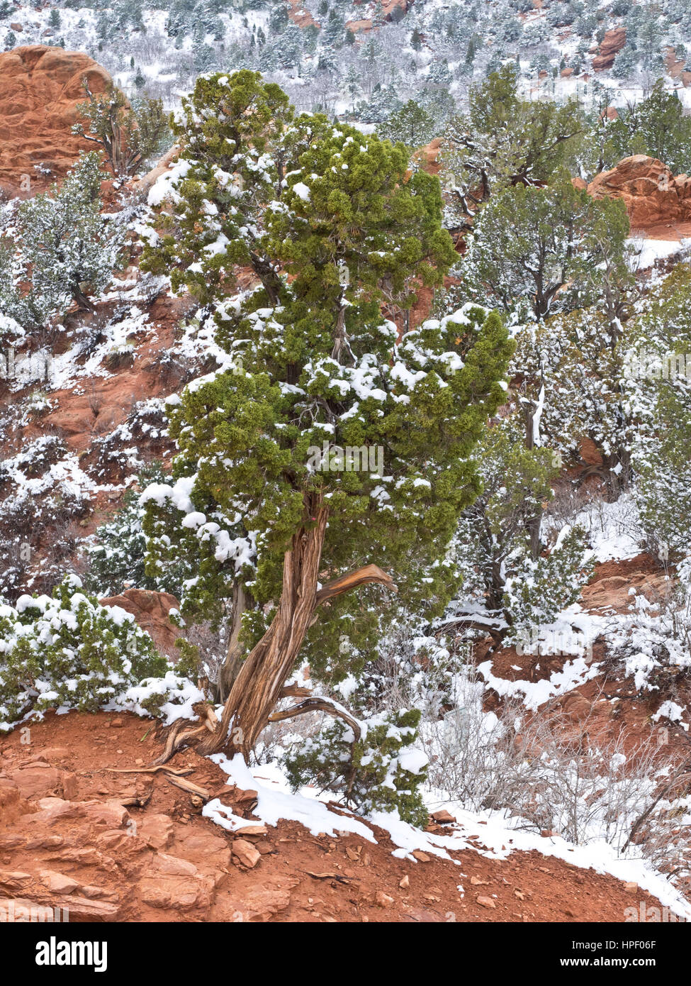 American, American West, Colorado, Colorado Springs, Konglomerate, Garten der Götter, Geologie, Landschaft, Kalkstein, National Natural Landmark, Nordamerika, Volkspark, rot, Felsformationen, Rocky Mountains, Sandstein, Schnee, USA, Westen, Winter, Natur, Felsen Stockfoto