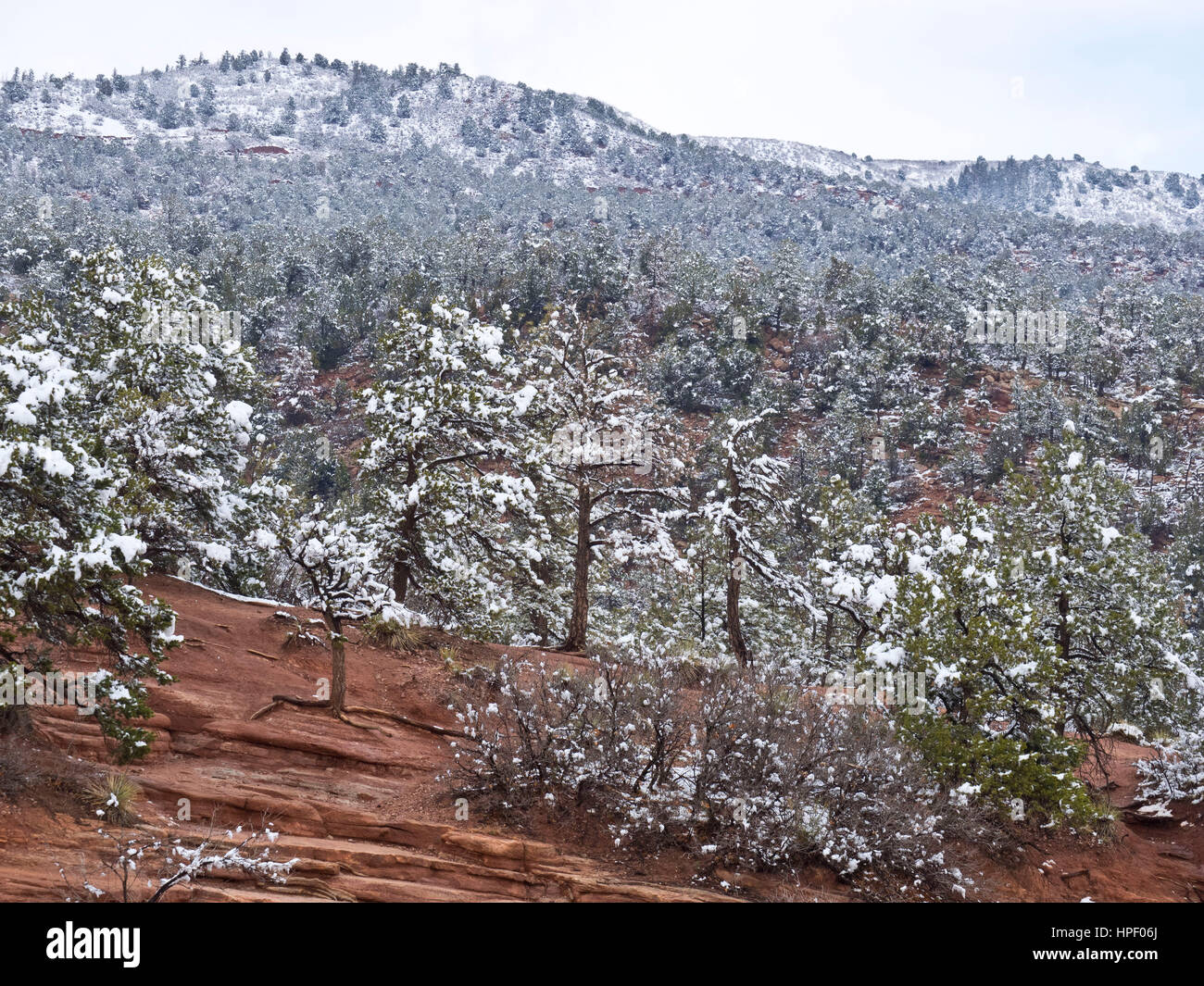 American, American West, Colorado, Colorado Springs, Konglomerate, Garten der Götter, Geologie, Landschaft, Kalkstein, National Natural Landmark, Nordamerika, Volkspark, rot, Felsformationen, Rocky Mountains, Sandstein, Schnee, Bäume, USA, Westen, Winter, Natur, Felsen Stockfoto