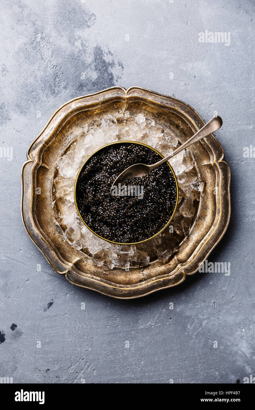 Schwarz-Stör-Kaviar in kann auf dem Eis in Metallplatte auf konkrete Hintergrund Textfreiraum Stockfoto
