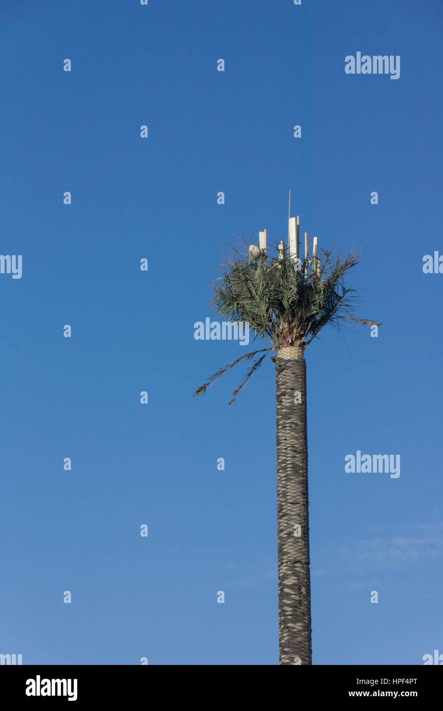Hohe Handy Antenne/Mast in Kuwait als eine Palme/Datum Baum getarnt Stockfoto