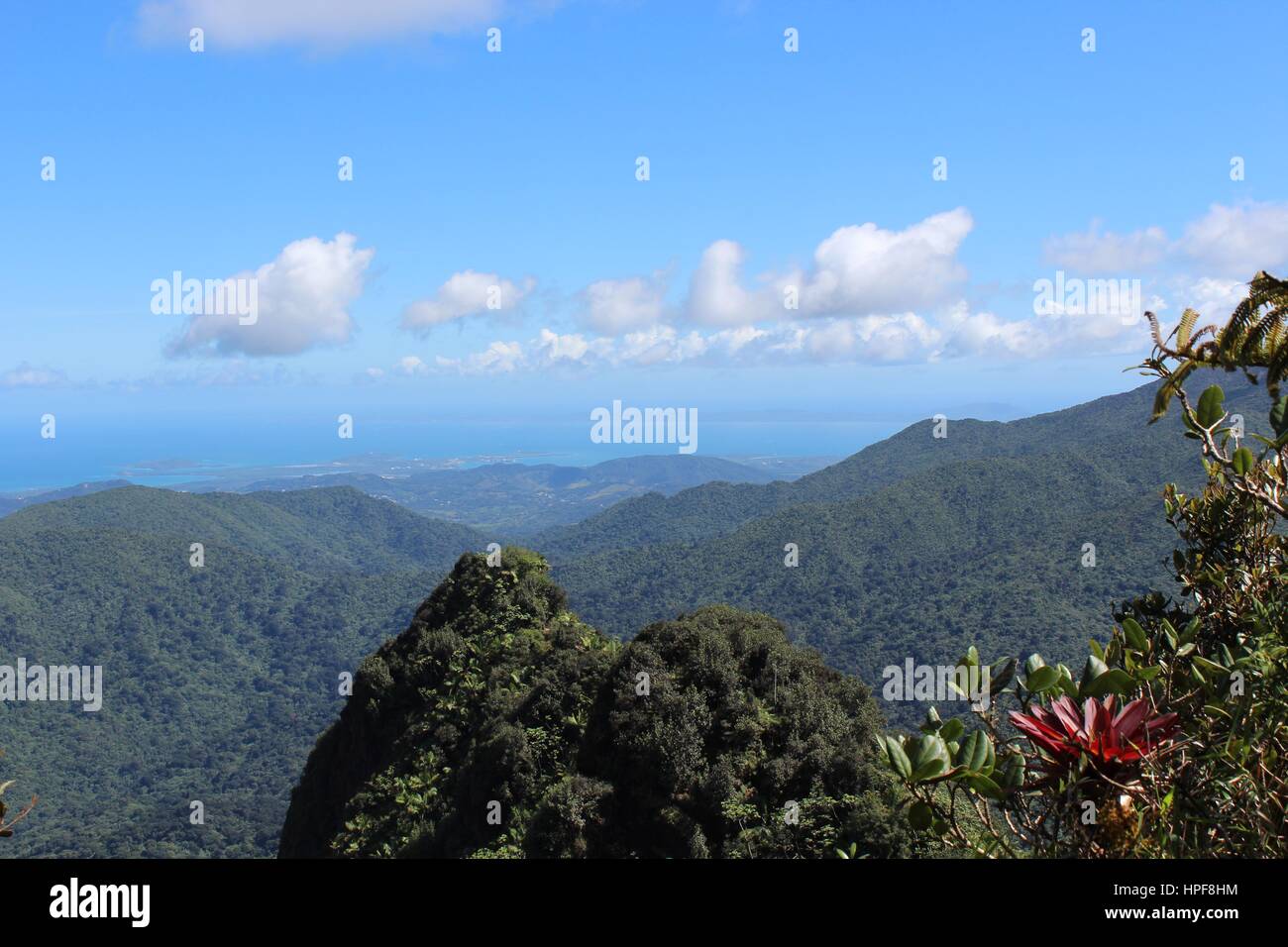 El Yunque Stockfoto