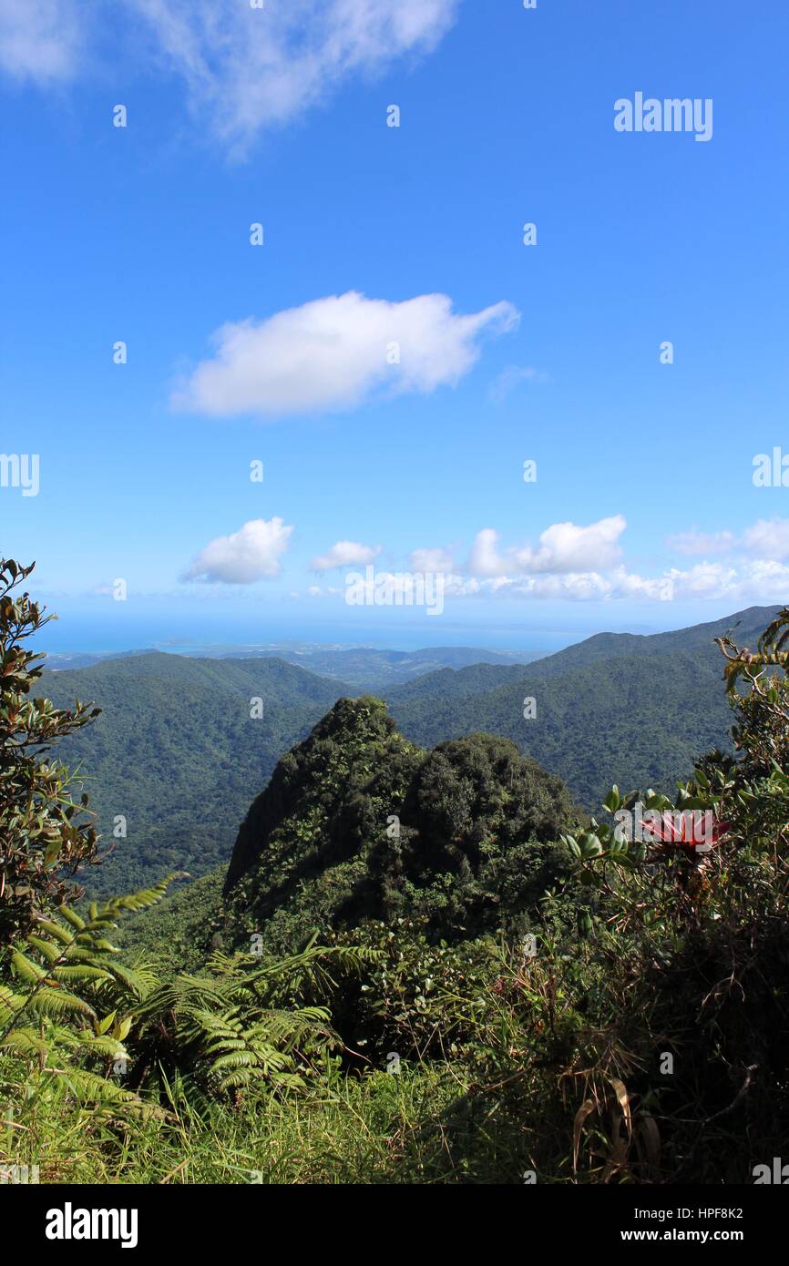 El Yunque Stockfoto