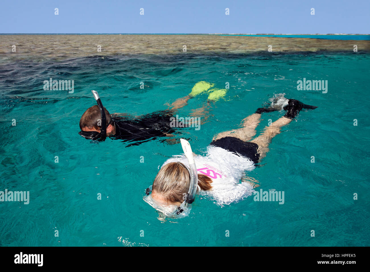 Mann, Frau, Schnorcheln, Korallenriff, Rotes Meer, Ägypten Stockfoto