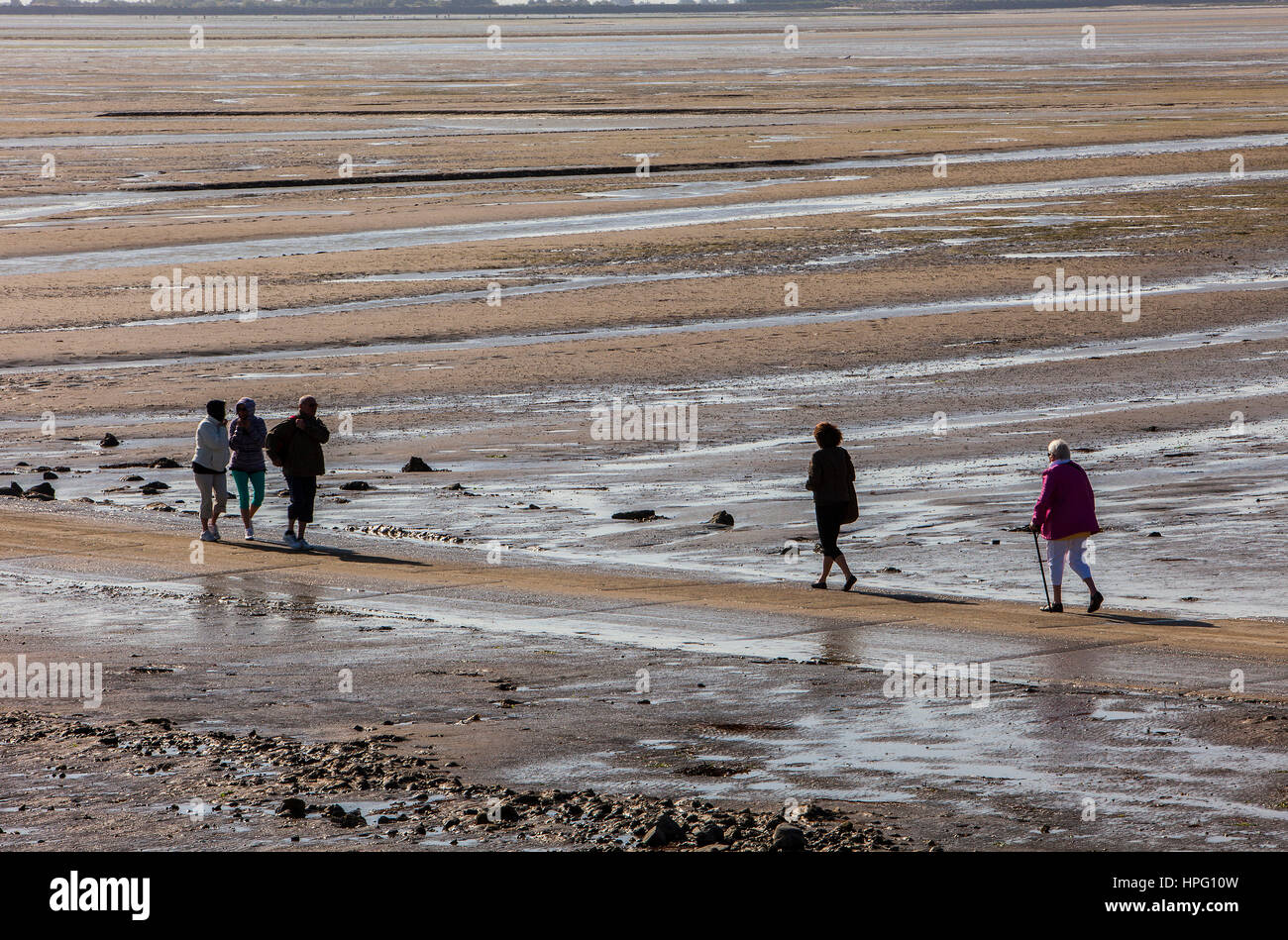 Passage du Gois, Ile de Noirmoutier, Dept Loire-Atlantique, Frankreich, Europa Stockfoto