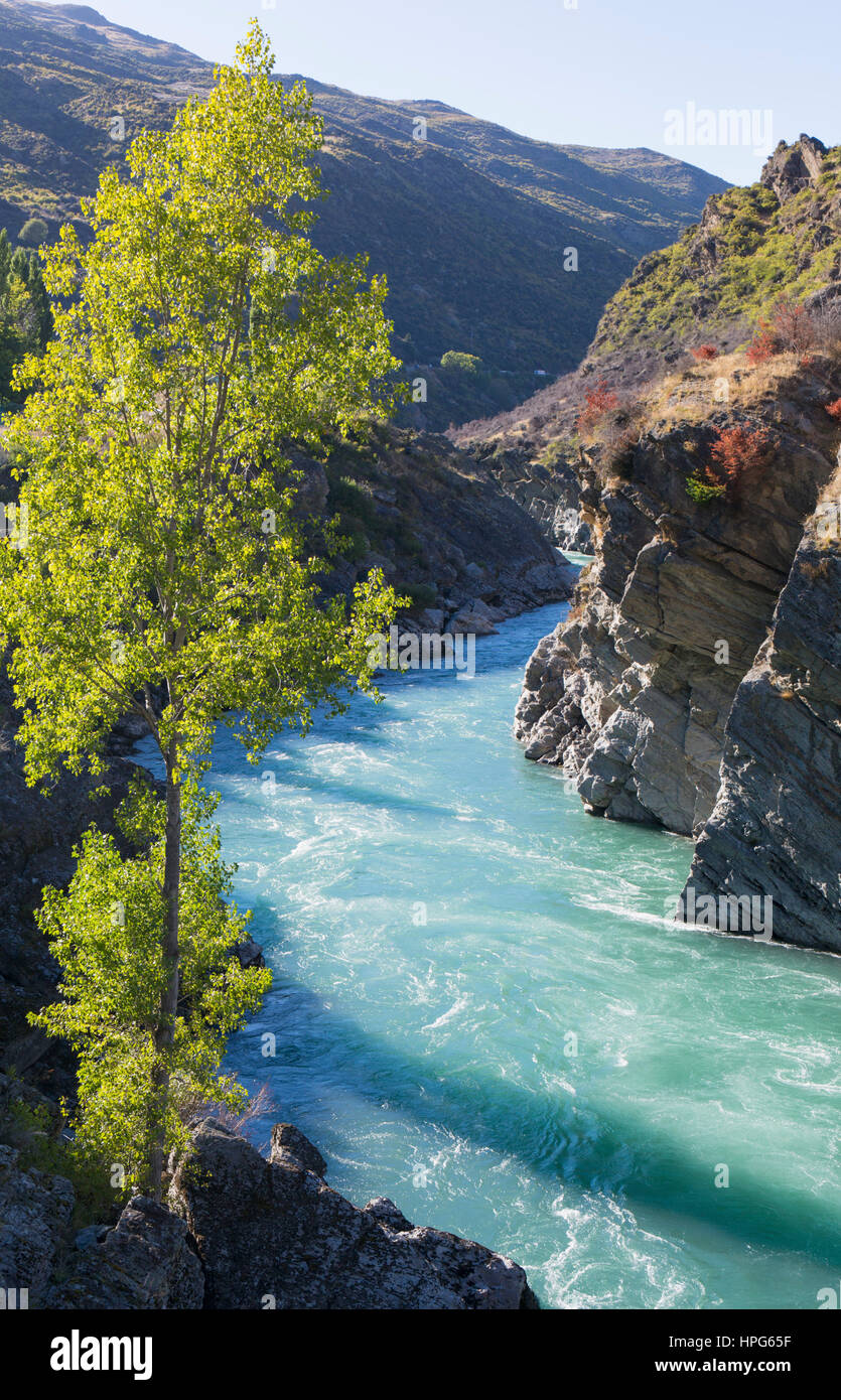 Cromwell, Otago, Neuseeland. Das türkisfarbene Wasser des Flusses Kawarau Rauschen durch die Kawarau Schlucht flussabwärts von Roaring Meg fällt. Stockfoto