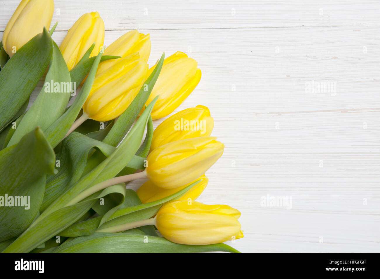 Gelber Strauß Tulpen auf weißem Hintergrund aus Holz. Frühling - Poster mit Freitext-Raum. Stockfoto