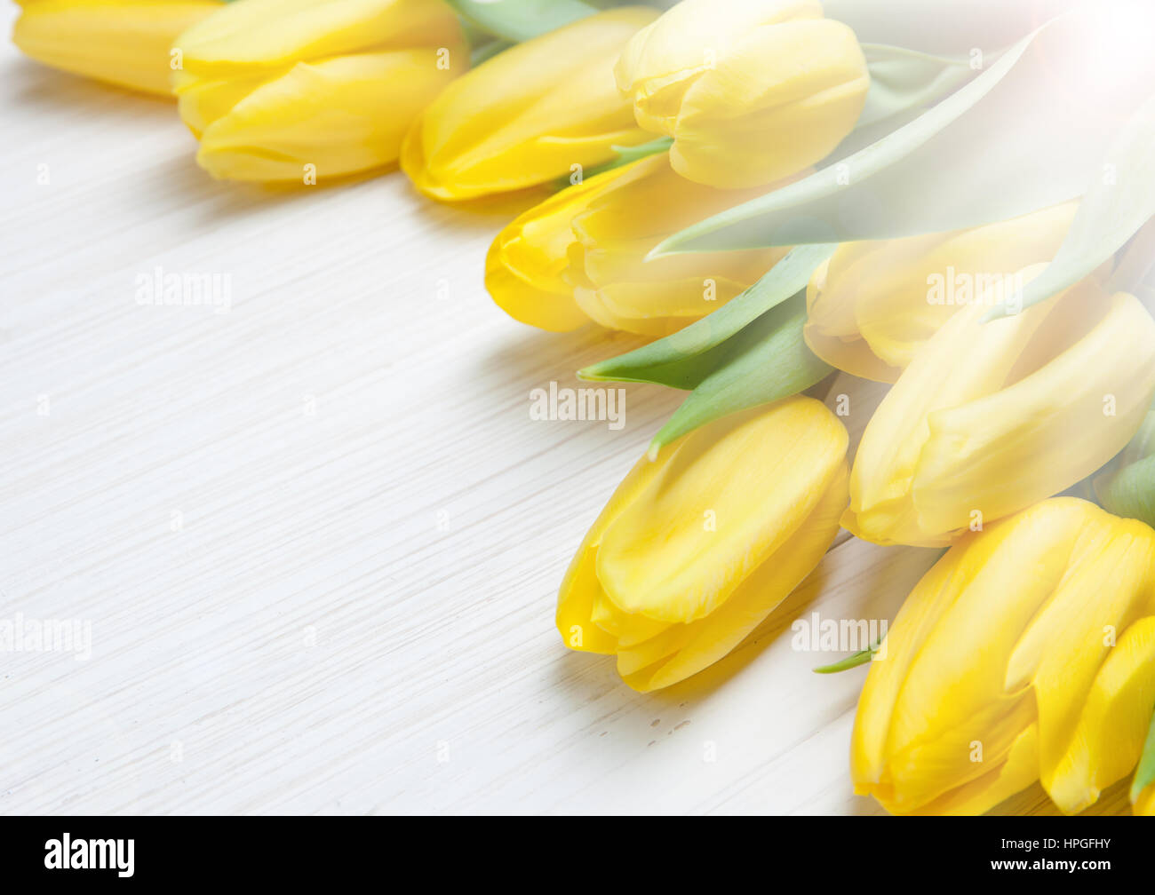 Gelber Strauß Tulpen auf weißem Hintergrund aus Holz. Frühling - Poster mit Freitext-Raum. Stockfoto