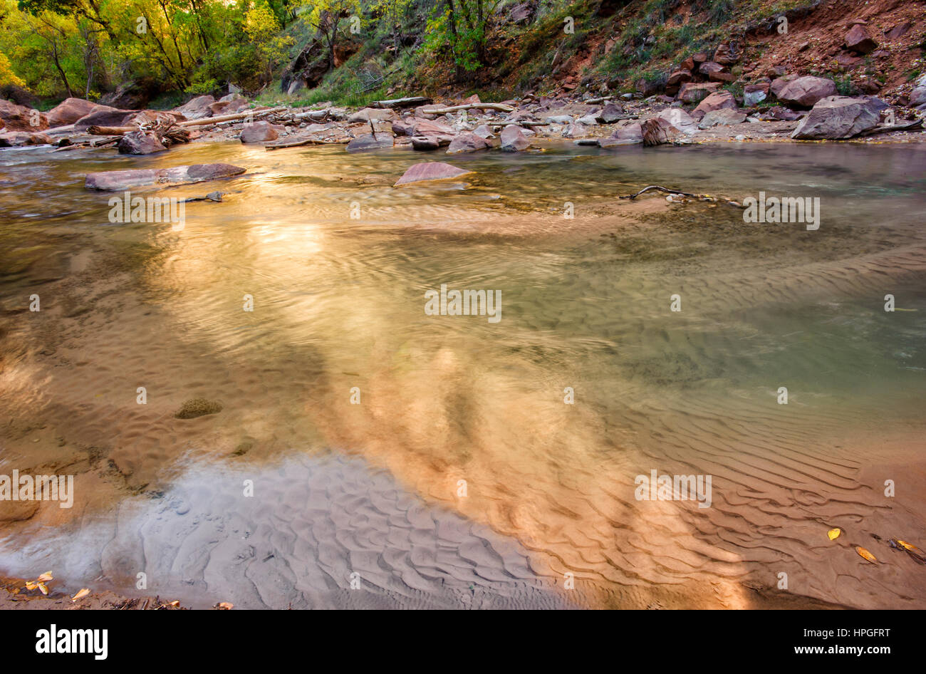 Zion Nationalpark, Virgin River, Herbst, Utah Stockfoto