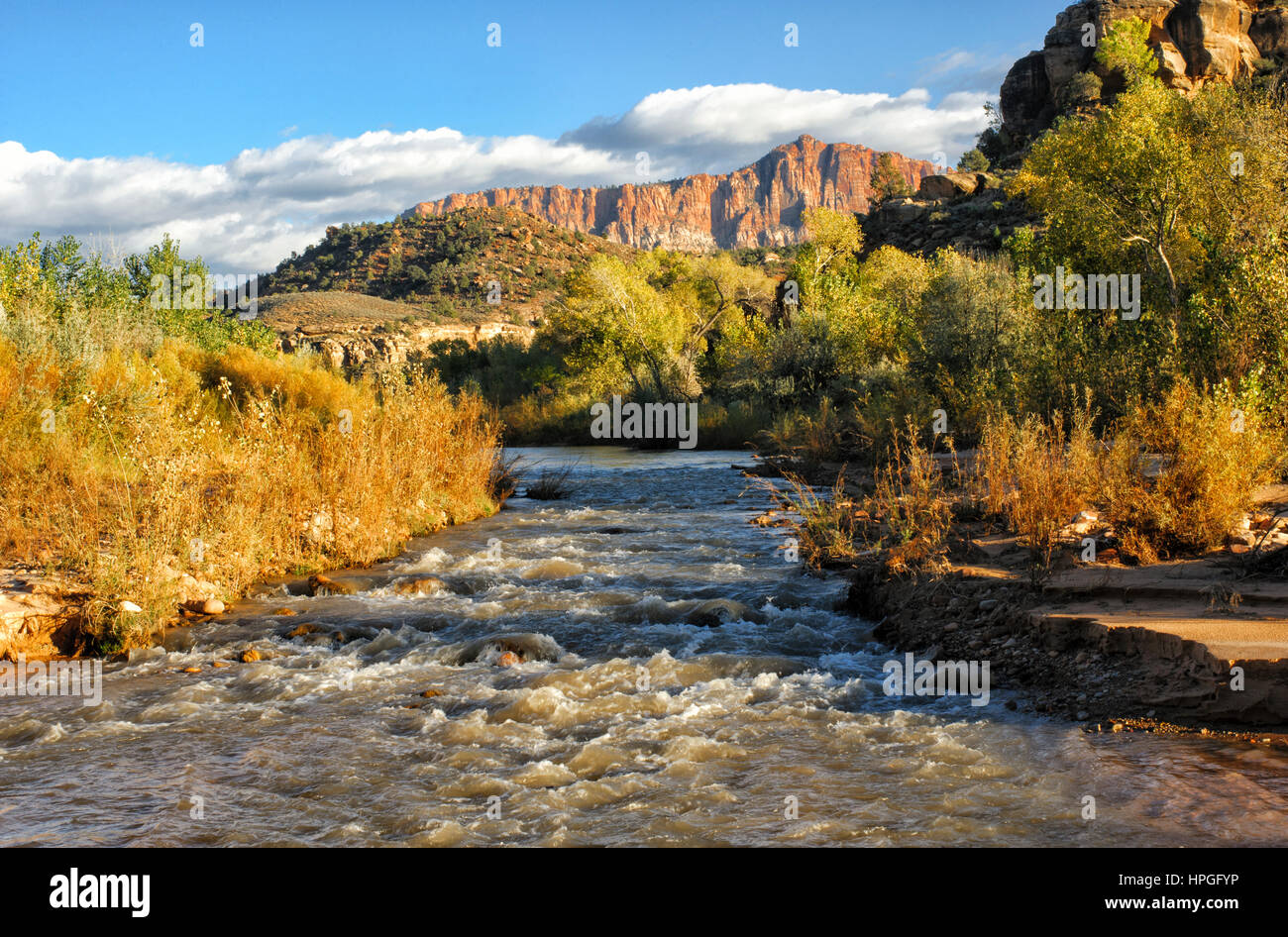 Zion Nationalpark, Virgin River, Herbst, Utah Stockfoto