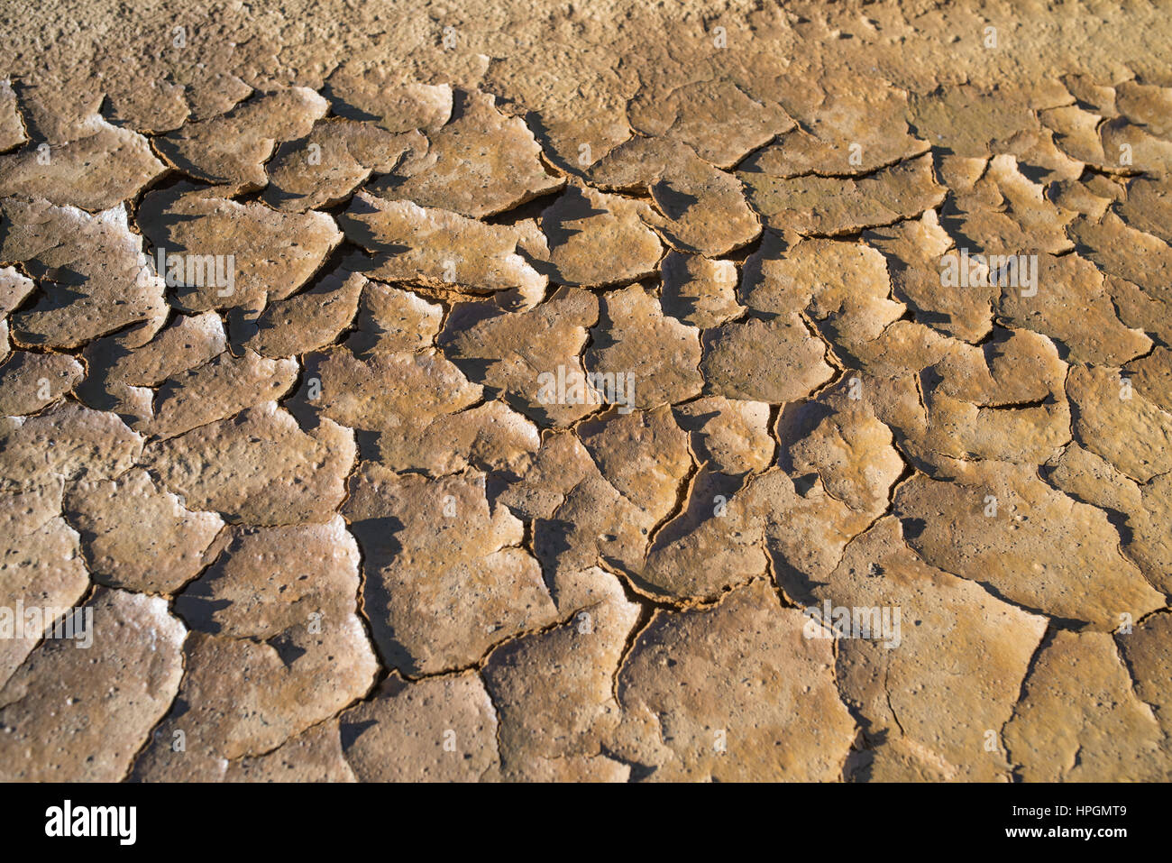 Hintergrundtextur von trockenen rissigen Boden Schmutz Sand oder Erde während Dürre Stockfoto