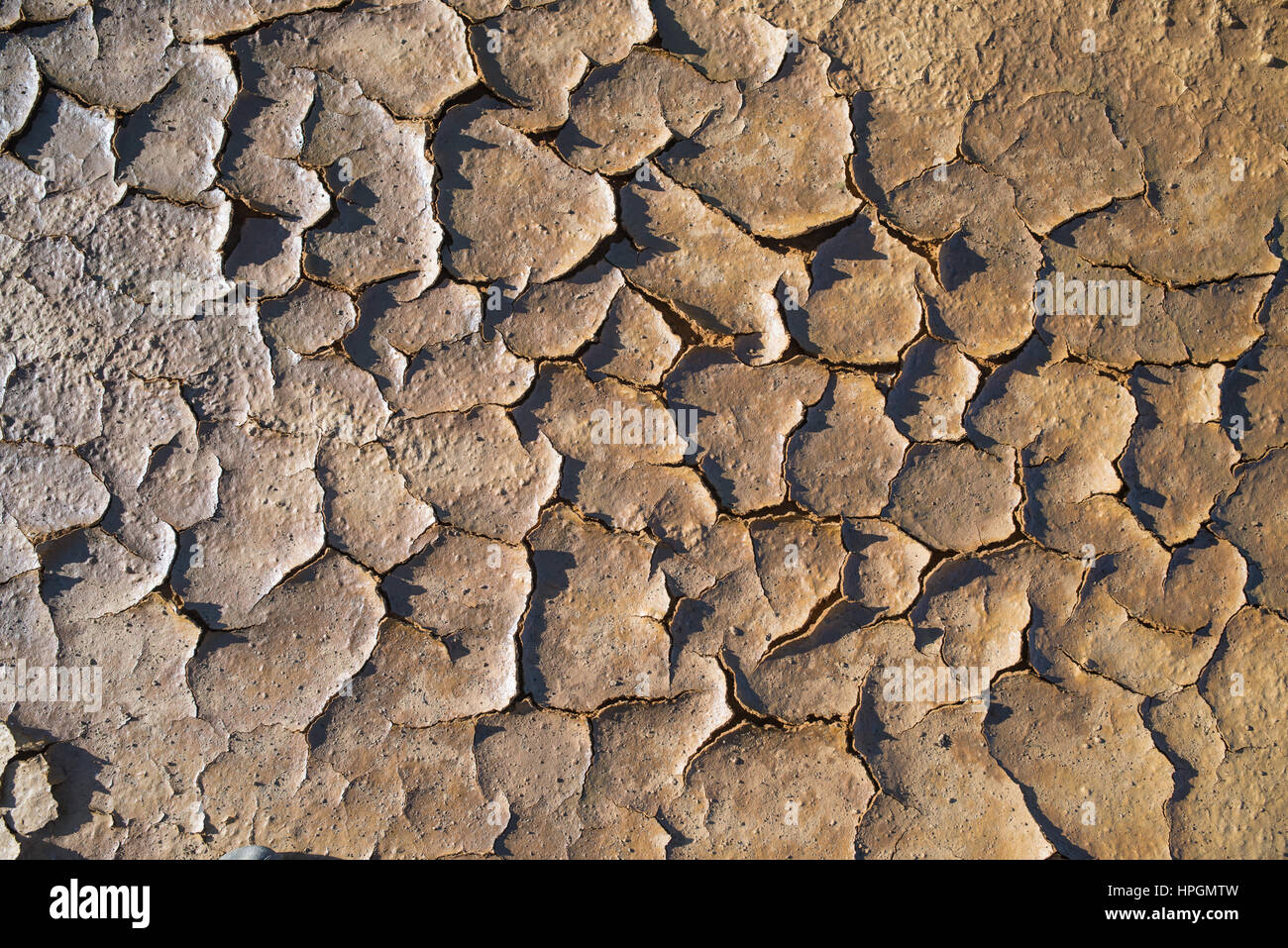 Hintergrundtextur von trockenen rissigen Boden Schmutz Sand oder Erde während Dürre Stockfoto