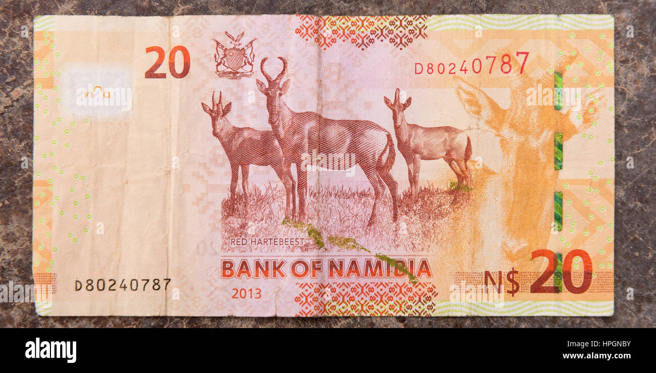 Eine Nahaufnahme von der Rückseite eines 20 Namibische Dollar Papier Banknote Stockfoto