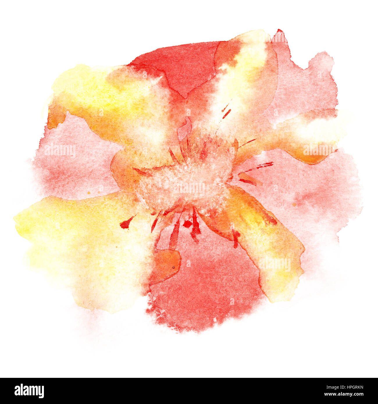 Aquarell Blume auf dem weißen Hintergrund Stockfoto