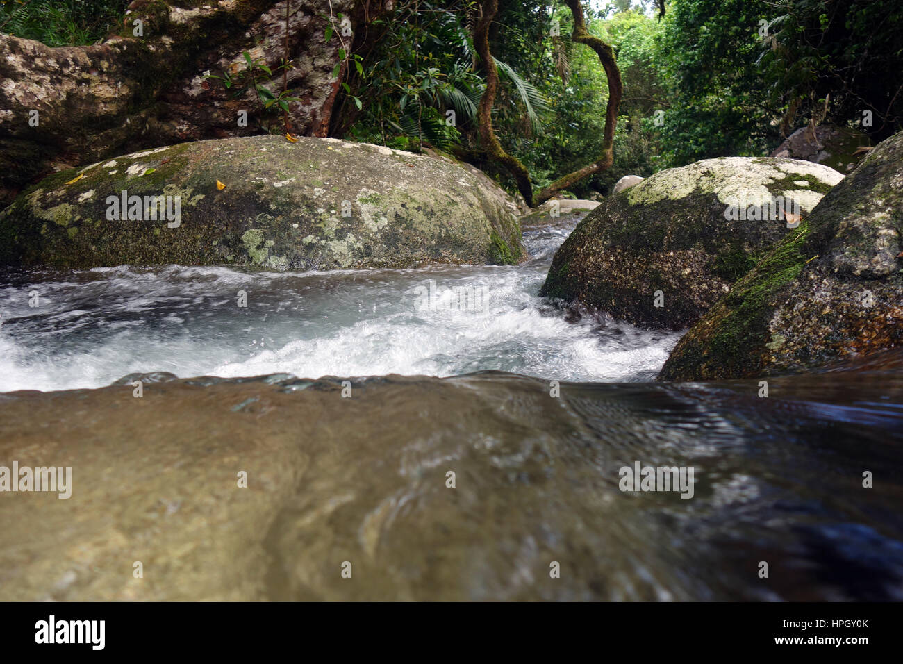 Sauberes Wasser fließt über Felsbrocken durch Regenwald, Mt Bartle Frere, Wet Tropics, Queensland, Australien Stockfoto